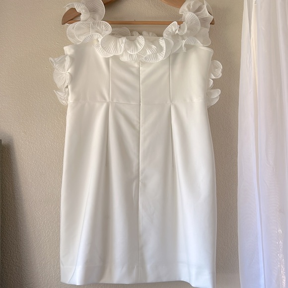 ZARA PLEATED RUFFLES BLOGGER  FAVORITES MINI DRESS SIZE LARGE - Picture 8 of 12